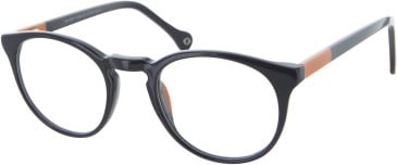 SFE-11429 glasses in Purple/Orange