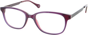 SFE-11432 glasses in Purple/Red