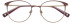 Brendel 902389 glasses in Brown
