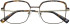 Brendel 902408 glasses in Brown/Tortoise