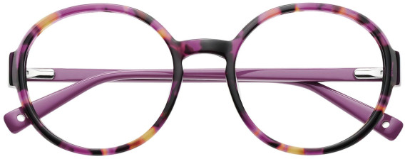 Brendel 903171 glasses in Purple Tortoise