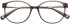 Brendel 903162 glasses in Brown