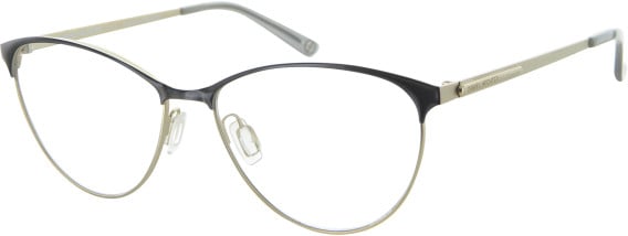 Daniel Hechter DHM146 glasses in Black/Gold
