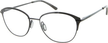 Daniel Hechter DHM236 glasses in Black/Brown