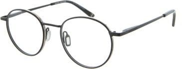 Daniel Hechter DHM238 glasses in Black/Gold