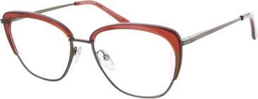 Daniel Hechter DHM275 glasses in Copper/Clear Brown