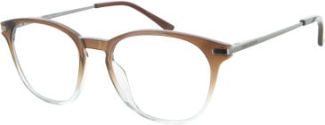 Daniel Hechter DHP560 glasses in Brown Crystal/Clear