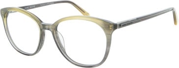 Daniel Hechter DHP612 glasses in Khaki/Grey Clear