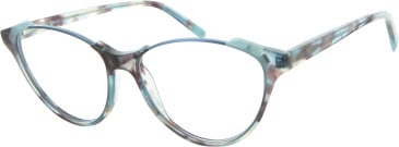 KIOTONAKAMURA KN402 glasses in Blue/Brown Horn