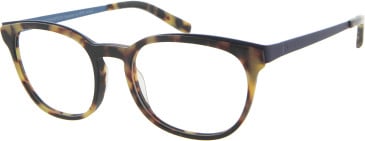 KIOTONAKAMURA KN728 glasses in Havana/Blue