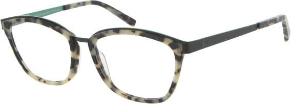 KIOTONAKAMURA KN729 glasses in Light Havana/Green