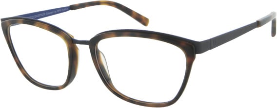 KIOTONAKAMURA KN729 glasses in Tortoise/Blue