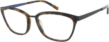 KIOTONAKAMURA KN729 glasses in Tortoise/Blue