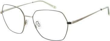 Marc O'Polo 502151 glasses in Silver/Green