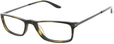 Marc O'Polo 503067 glasses in Tortoise
