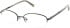 Nine West NW1035 glasses in Brown