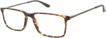 O'Neill ONO4506 glasses in Havana/Copper