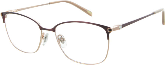 Ruud Van Dyke 1154T glasses in Red/Rose Gold