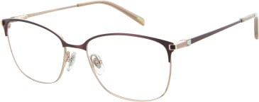 Ruud Van Dyke 1154T glasses in Red/Rose Gold