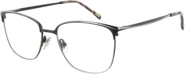 Ruud Van Dyke 1271T glasses in Black/Gold