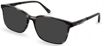 Ted Baker TB8249 sunglasses in Grey Horn