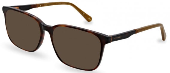 Ted Baker TB8249 sunglasses in Tortoise