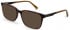Ted Baker TB8249 sunglasses in Tortoise