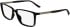 Calvin Klein CK24547 glasses in Dark Havana