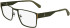 Calvin Klein Jeans CKJ24208 glasses in Khaki