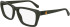 Calvin Klein Jeans CKJ24629 glasses in Khaki