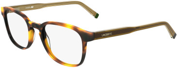 Lacoste L2964 glasses in Havana
