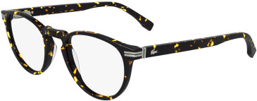 Lacoste L2966 glasses in Dark Havana
