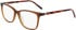 Marchon NYC M-5024 N glasses in Crystal Brown/Tortoise