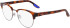 Nike NIKE 8402 glasses in Soft Tortoise/Gunmetal