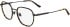 Calvin Klein CK24113 glasses in Havana
