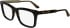 Calvin Klein CK24542 glasses in Dark Havana