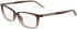 Calvin Klein CK24546 glasses in Brown Rose