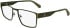 Calvin Klein Jeans CKJ24208 glasses in Khaki