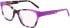 DKNY DK5072 glasses in Amethyst Tortoise/Milky Purple