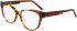 DKNY DK5073 glasses in Honey Tortoise/Coco Crystal