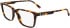 Lacoste L2963 glasses in Havana