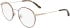 Calvin Klein CK19119 glasses in Dark Havana