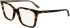 Calvin Klein CK24544 glasses in Havana