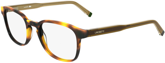 Lacoste L2964 glasses in Havana