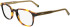 Lacoste L2964 glasses in Havana