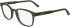 Lacoste L2964 glasses in Transparent Khaki