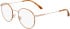 Calvin Klein CK19119 glasses in Blonde Havana
