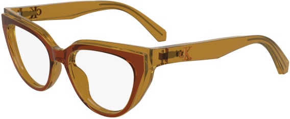 Calvin Klein Jeans CKJ24628 glasses in Brick/Amber