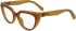 Calvin Klein Jeans CKJ24628 glasses in Brick/Amber