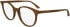 Calvin Klein CK24543 glasses in Light Brown